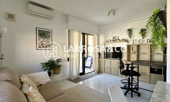 Вторичный рынок - Квартира - Торревьеха - Costa Blanca