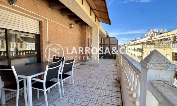 Вторичный рынок - Квартира - Торревьеха - Costa Blanca