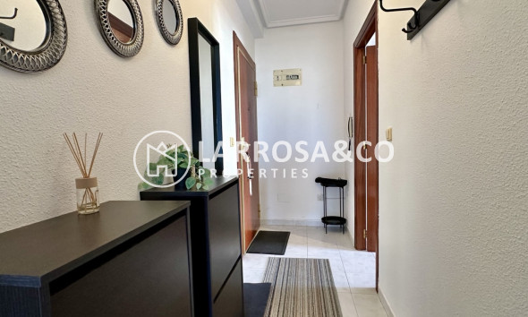 Вторичный рынок - Квартира - Торревьеха - Costa Blanca