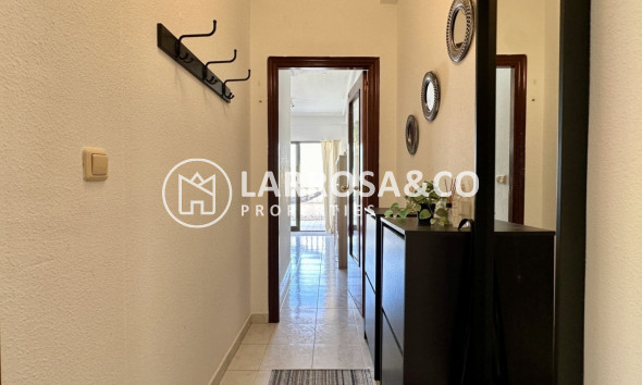 Вторичный рынок - Квартира - Торревьеха - Costa Blanca