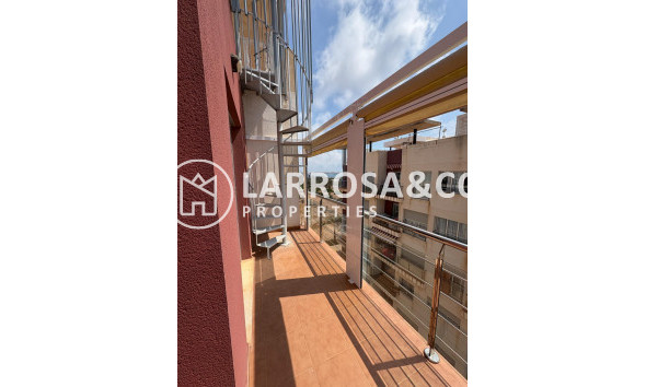 Вторичный рынок - Пентхаус - Торревьеха - Пунта Прима