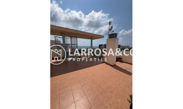 Вторичный рынок - Пентхаус - Торревьеха - Пунта Прима