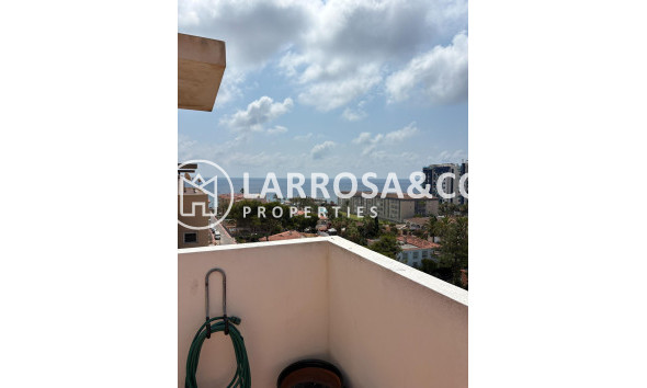 Вторичный рынок - Пентхаус - Торревьеха - Пунта Прима