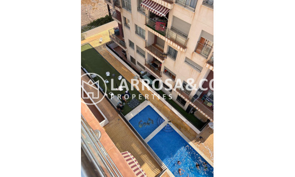 Вторичный рынок - Пентхаус - Торревьеха - Пунта Прима