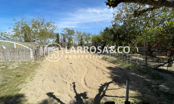 Reventa - Chalet - Guardamar del Segura - Costa Blanca