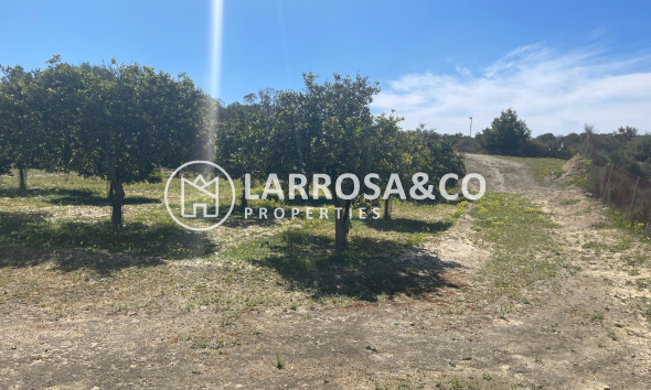 Reventa - Chalet - Guardamar del Segura - Costa Blanca