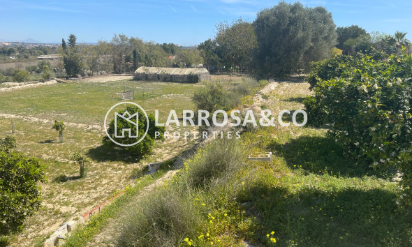 Reventa - Chalet - Guardamar del Segura - Costa Blanca