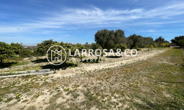 Reventa - Chalet - Guardamar del Segura - Costa Blanca