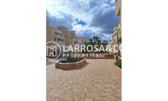 A Vendre - Apartment - Guardamar del Segura - Costa Blanca