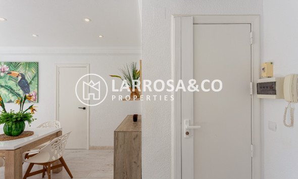 Reventa - Apartamento - Torrevieja - Costa Blanca