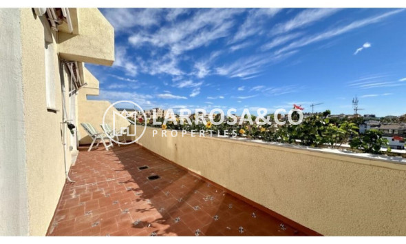 A Vendre - Penthouse  - Torrevieja - Costa Blanca