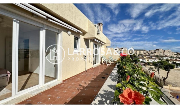 A Vendre - Penthouse  - Torrevieja - Costa Blanca