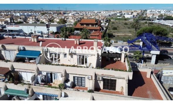 A Vendre - Penthouse  - Torrevieja - Costa Blanca