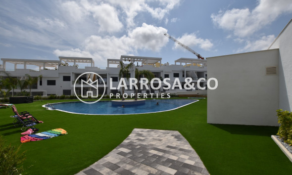 Herverkoop - Apartment - Torrevieja - Costa Blanca