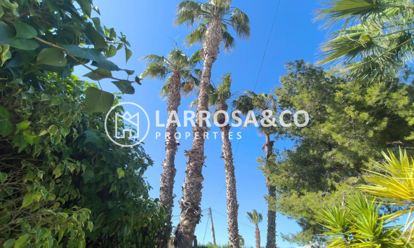 Herverkoop - Villa - Torrevieja - La siesta