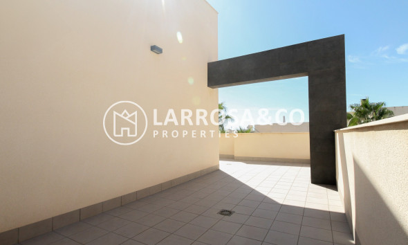 Resale - Detached House/Villa - Torrevieja - Costa Blanca