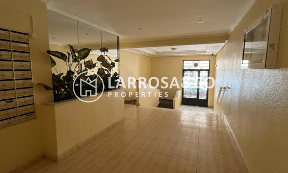 Herverkoop - Apartment - Torrevieja - Costa Blanca
