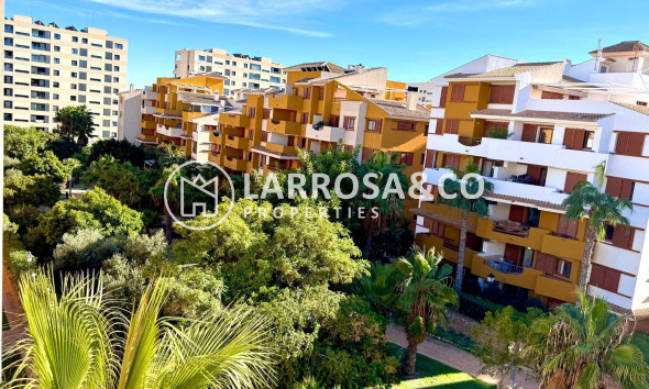 Resale - Apartment - Torrevieja - Punta Prima