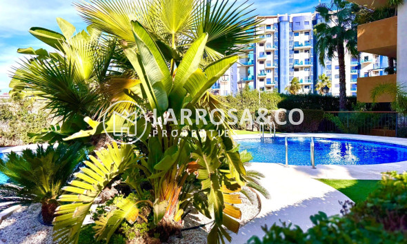 Resale - Apartment - Torrevieja - Punta Prima