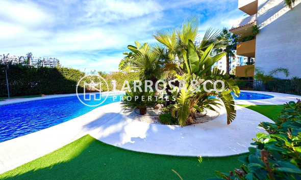 Resale - Apartment - Torrevieja - Punta Prima