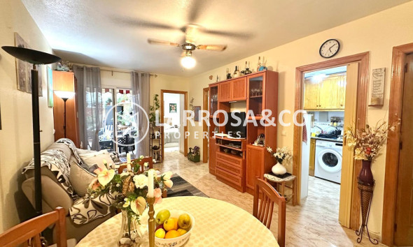 Reventa - Apartamento - Torrevieja - Centro