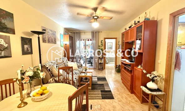 Reventa - Apartamento - Torrevieja - Centro