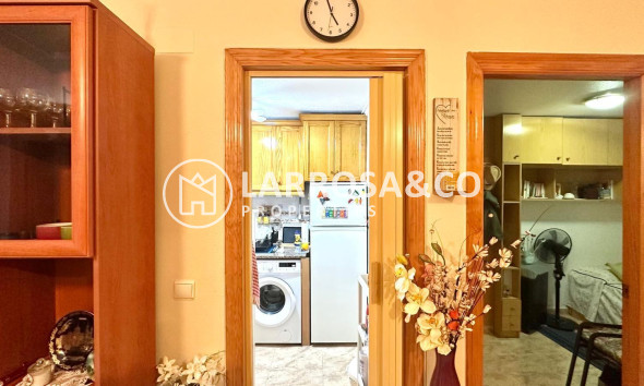 Reventa - Apartamento - Torrevieja - Centro