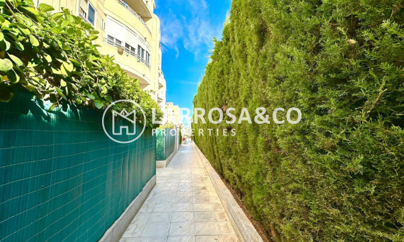 Resale - Apartment - Torrevieja - Playa del cura