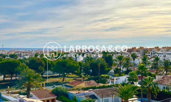 Resale - Apartment - Torrevieja - Playa del cura