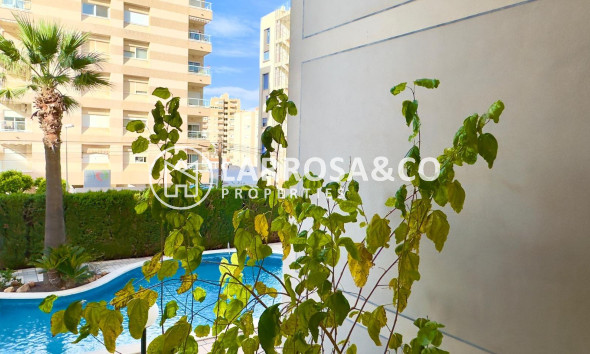 Resale - Apartment - Torrevieja - Playa del cura