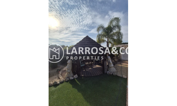 Resale - Finca - Daya Vieja - Costa Blanca