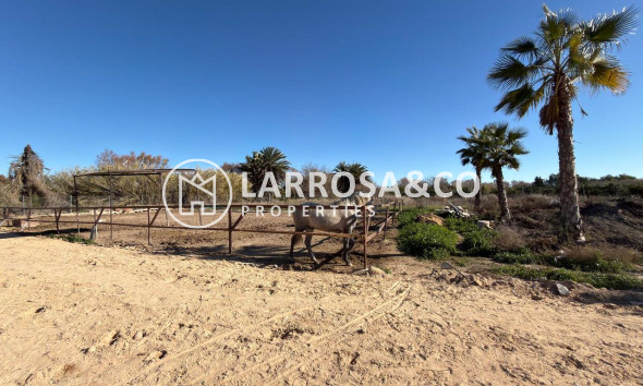 Resale - Land - Algorfa - Inland