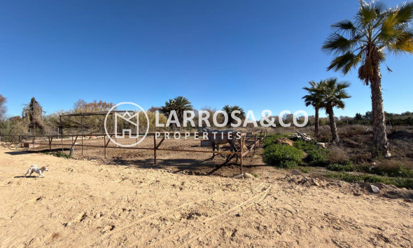 Resale - Land - Algorfa - Inland