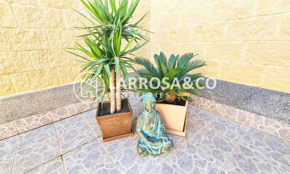 Reventa - Adosado - Torrevieja - El limonar