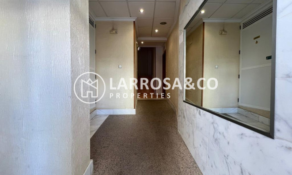 A Vendre - Apartment - Torrevieja - CENTRO CASCO URBANO