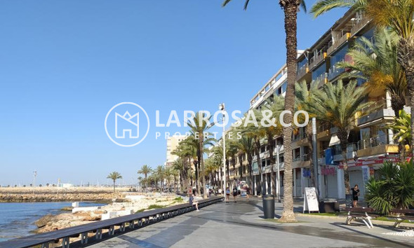 A Vendre - Apartment - Torrevieja - CENTRO CASCO URBANO