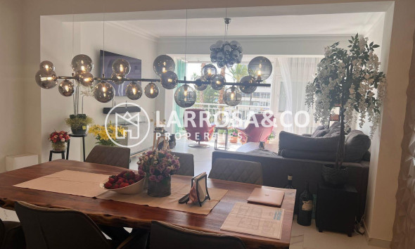 Вторичный рынок - Квартира - Торревьеха - torrevieja