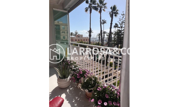 Вторичный рынок - Квартира - Торревьеха - torrevieja