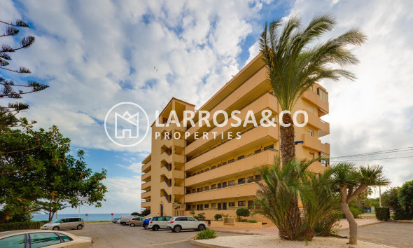 Resale - Apartment - Torrevieja - Cabo cervera