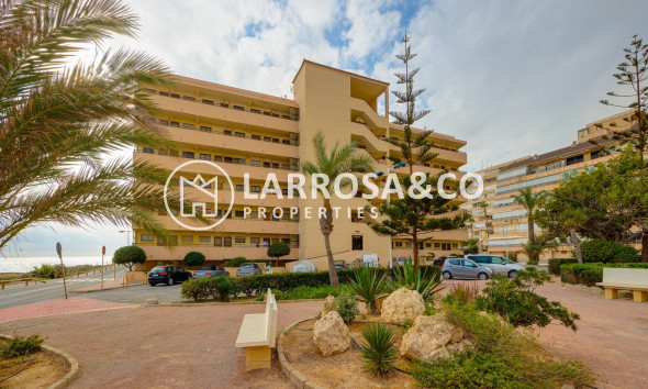 Resale - Apartment - Torrevieja - Cabo cervera