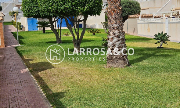 Reventa - Adosado - Torrevieja - Los Balcones - Los Altos del Edén