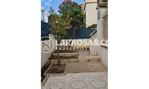 Reventa - Adosado - Torrevieja - Los Balcones - Los Altos del Edén