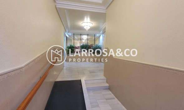 Вторичный рынок - Квартира - Торревьеха - Playa del cura