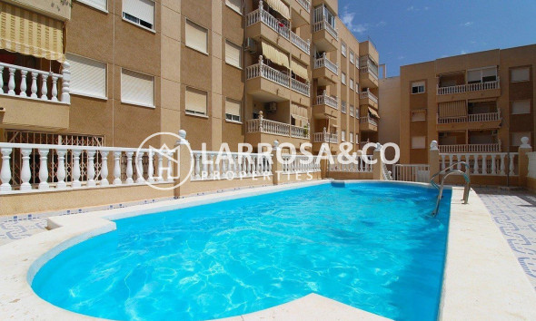 Вторичный рынок - Квартира - Торревьеха - Playa del cura