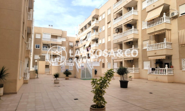 Вторичный рынок - Квартира - Торревьеха - Playa del cura