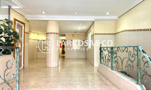 Вторичный рынок - Квартира - Торревьеха - Centro