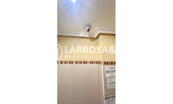 Вторичный рынок - Квартира - Торревьеха - Centro