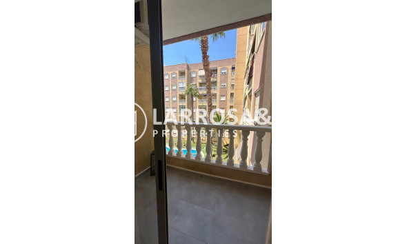 Вторичный рынок - Квартира - Торревьеха - Centro