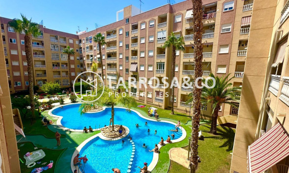 Вторичный рынок - Квартира - Торревьеха - Centro