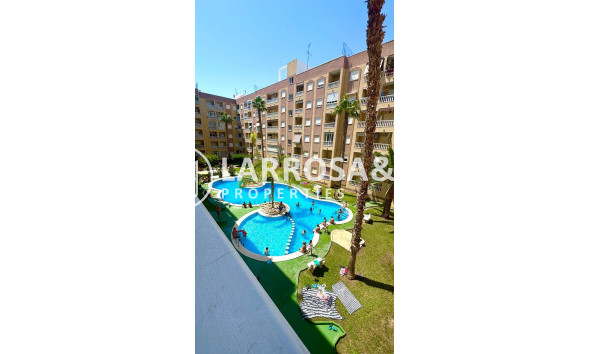 Вторичный рынок - Квартира - Торревьеха - Centro